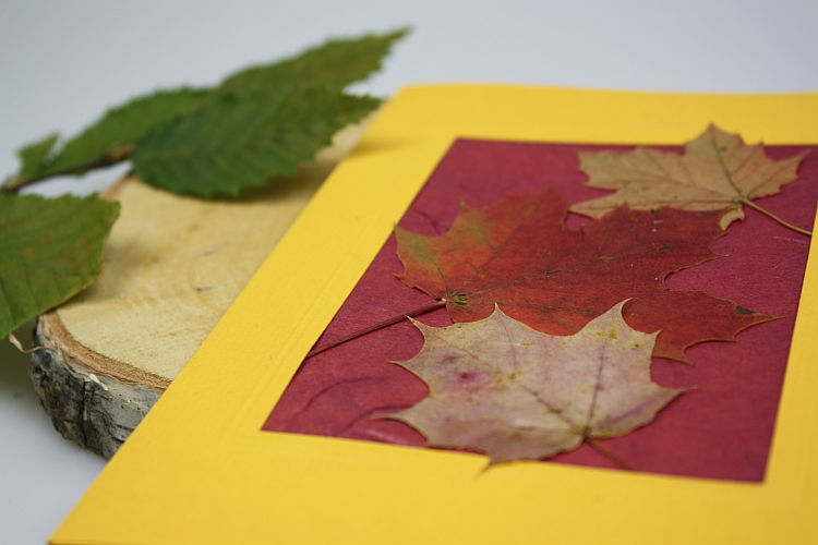 herbstblaetter-karte-bastelanleitung3