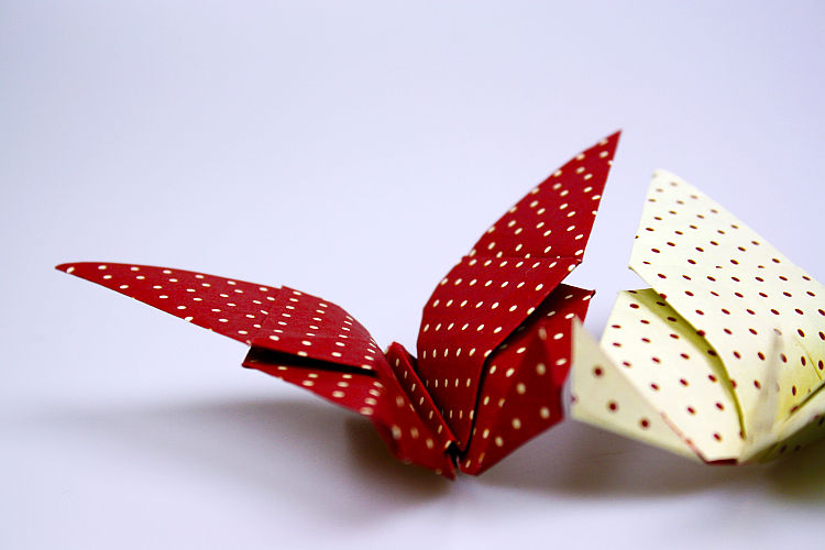 origami-schmetterling-falten-2