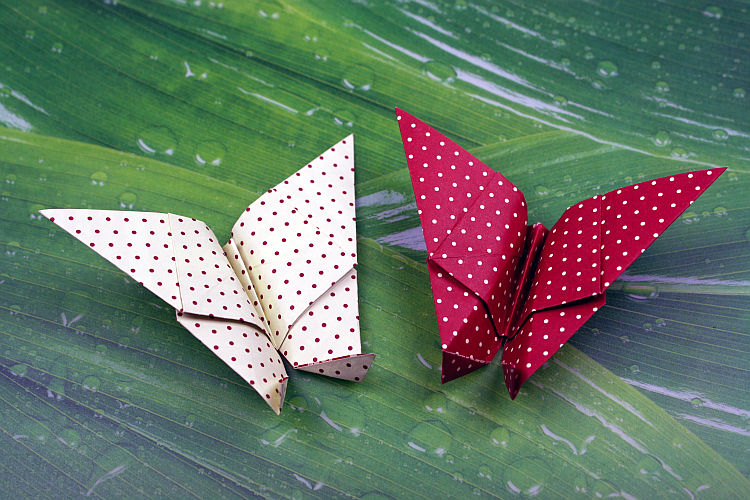 origami-schmetterling-falten-5