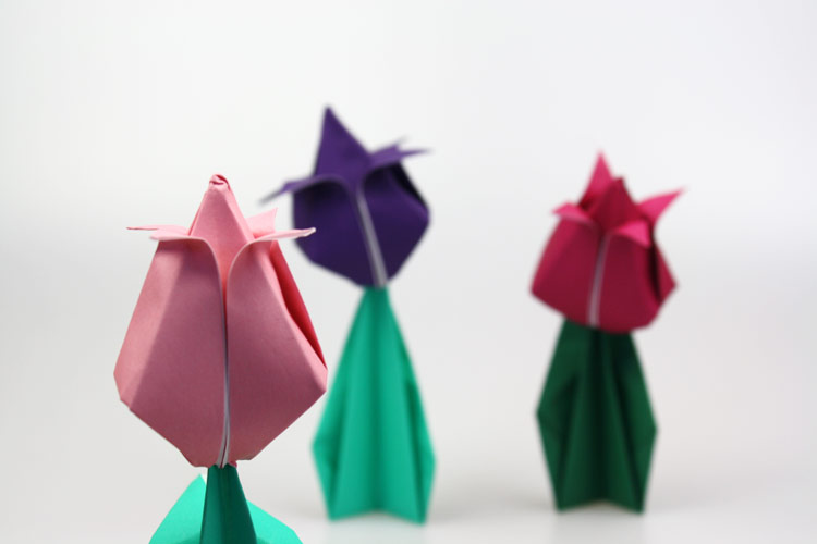 origami-tulpe2