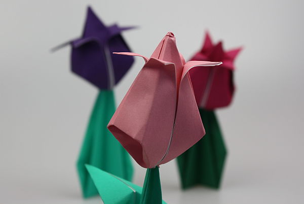 origami-tulpe28